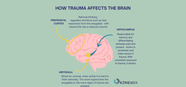 Trauma’s Impact on the Brain